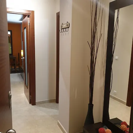 アパート Piso Alerin Ii シジェーダ