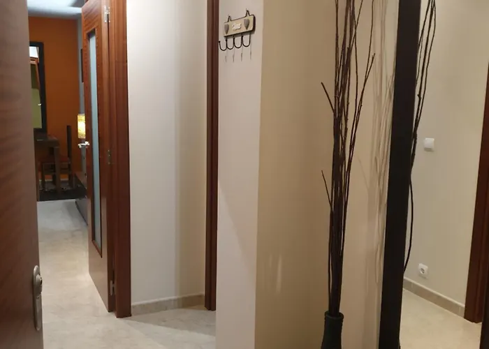 Apartamento Piso Alerín Ii Silleda
