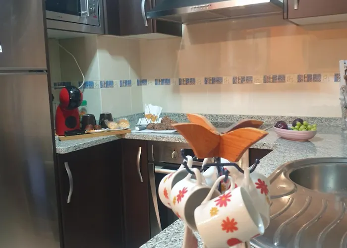 Apartamento Piso Alerín Ii Silleda